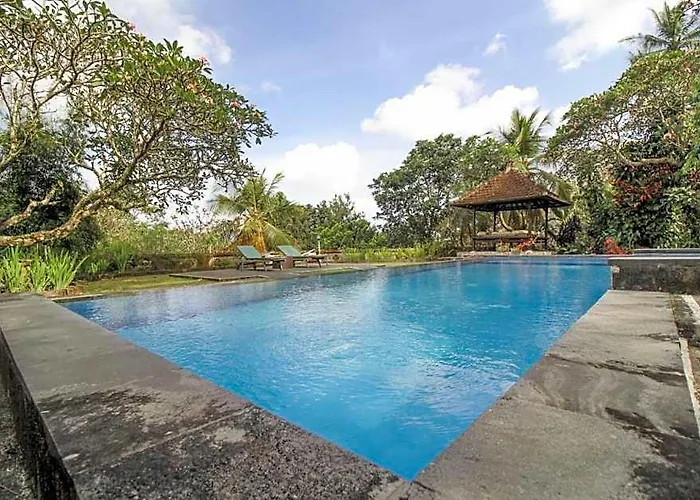 Cozy Superior With Pool Near Palace *